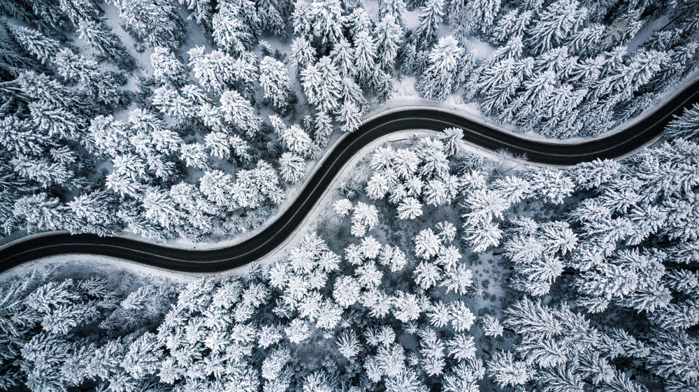 Curvy,Windy,Road,In,Snow,Covered,Forest,,Top,Down,Aerial